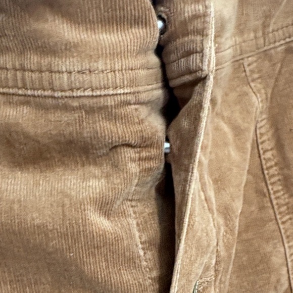 Charter Club Brown corduroy A-Line Skirt - Picture 3 of 4